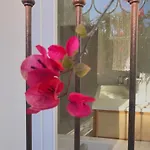 Riviera Villa *